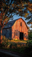 Rustic barn bathed in golden sunset light, surrounded by nature. A beautiful blend of rural charm and tranquility.