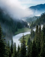 Misty morning river in forest