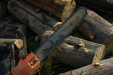 Chainsaw sitting on a pile of recently cut firewood, Colorado mountains