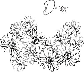 illustration of daisies. daisies on a postcard. freehand drawing. illustration of daisies. daisies on a postcard. freehand drawing. one line drawn black and white illustration.