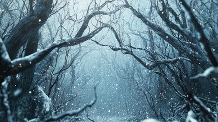 The Snowy Winter Forest