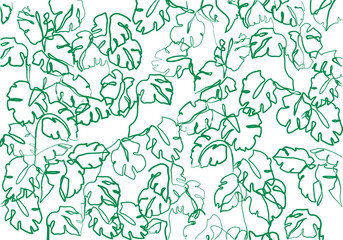 freehand plant drawing. hand drawn monstera illustration. vector pattern. 