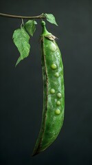 Eye-Catching Green Pea Pod Image Displaying Nature’s Fresh Bounty