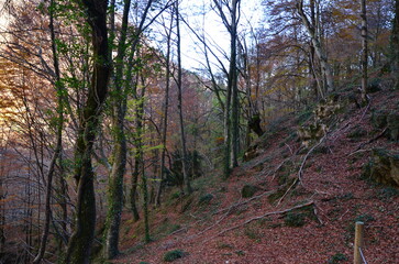 Otoño en el bisqueotoño