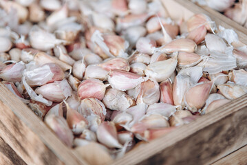 wooden box with fresh garlic
