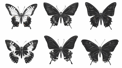 Fototapeta premium Butterfly collection,Butterfly Vector Silhouettes. Decorative Insect Collection.