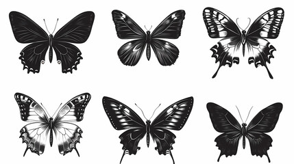 Butterfly collection,Butterfly Vector Silhouettes. Decorative Insect Collection.