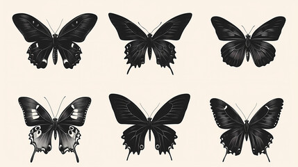 Obraz premium Butterfly collection,Butterfly Vector Silhouettes. Decorative Insect Collection.