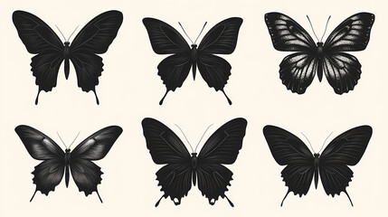 Obraz premium Butterfly collection,Butterfly Vector Silhouettes. Decorative Insect Collection.