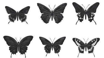 Fototapeta premium Butterfly collection,Butterfly Vector Silhouettes. Decorative Insect Collection.