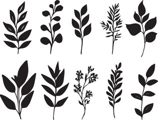Set plants. Hand drawn vector illustration