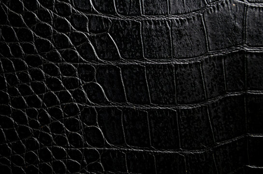 Close up of black crocodile skin artificial leather with customizable space for text or for mockup