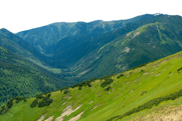 Beautiful mountain landscape in summer. Green grass, high rocks. Tatra Mountains. Isolated object.