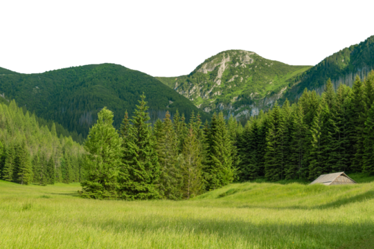 Mountain glade in the Tatras, Poland. Beautiful summer landscape in the mountains. Isolated object.