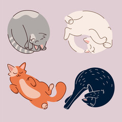 Cats sleeping in different positions. White, ginger, gray and black cats. Set of cats. 