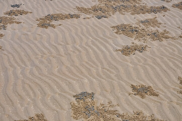 Ocean shore on Phuket island