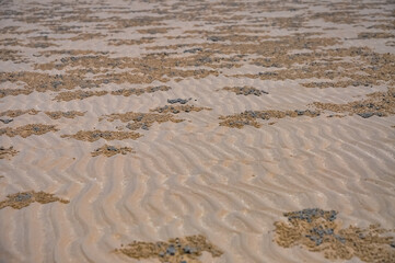 Ocean shore on Phuket island