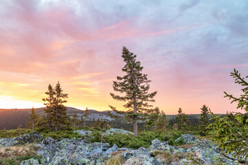 sunrise in the mountains