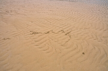 Ocean shore on Phuket island