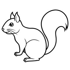 Squirrel line art vector illustration 