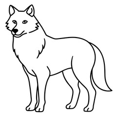 Wolf line art vector illustration 