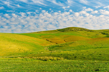 Obraz premium panoramic farmland landscape with green spring field , salad and yellow hills, garden and grassland and beautiful cloudy sky.