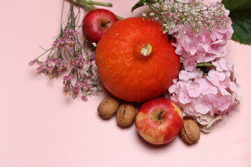 Autumn still life with pumpkins, apples and hydrangea flowers on pink background with space for text