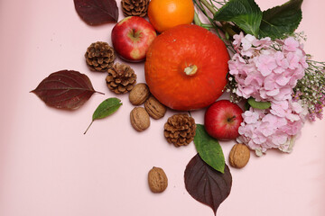 Autumn composition with seasonal fruit and vegetables. Pumpkins, apples, nuts and flowers on pink background with space for text. Eating fresh concept. 