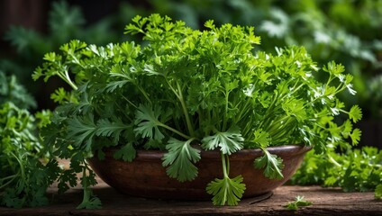 Fototapeta premium Close-up of parsley on a wooden table
