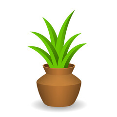 Decorative green plant with long leaves in ceramic