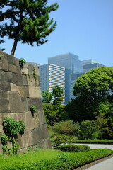 A contrast between ancient and modern Tokyo. A stone wall from the Edo period stands tall, juxtaposed with towering modern skyscrapers in the background. Lush greenery fills the foreground.