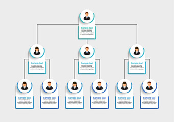 Corporate organizational chart with business avatar icons. Business hierarchy infographic elements
