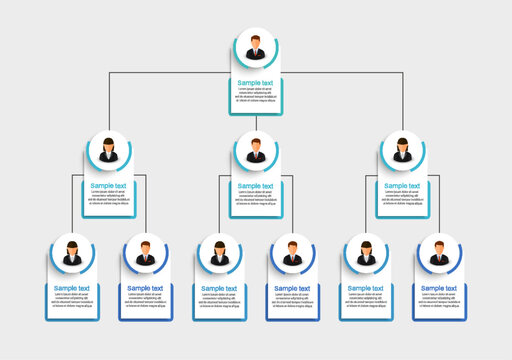Corporate organizational chart with business avatar icons. Business hierarchy infographic elements