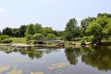 The ole wood footbridge at the pond on a sunny day.