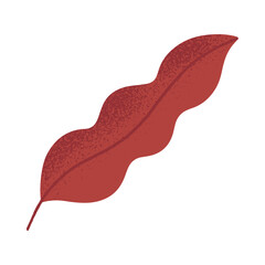 Vector autumn seasonal leaf in fall colors.Modern autumn foliage with texture in trendy style for banners,social media marketing,patterns,branding,packaging,covers, prints.