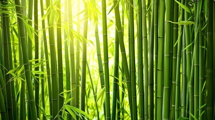 Fototapeta premium Lush Bamboo Forest with Serene Sunlight Beams