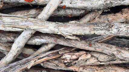 Pile of wood. Wood surface texture. Pile of pine firewoods. A stack of split firewood. 