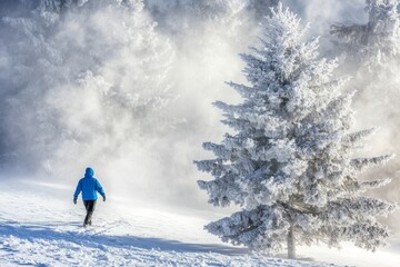 A snowshoe hiker in a fog of snowstorms passes through trees with high contrast