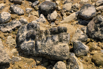Ocean shore on Phuket island