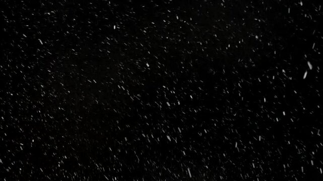 黒バック　降雪　合成用素材