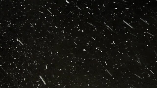 黒バック　降雪　合成用素材　2カット