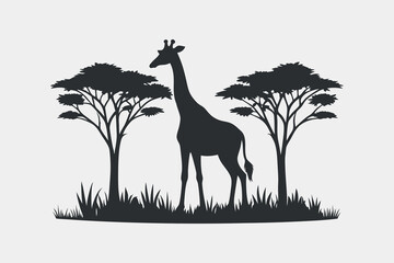 giraffe silhouette under acacia trees in african savanna landscape © Rahmat Chowdhury
