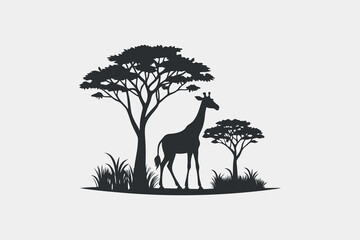 giraffe silhouette under acacia trees in african savanna landscape