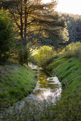 Obraz premium a calmly flowing river along the fields