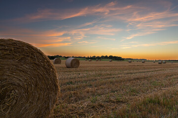 hay in the field at sunset