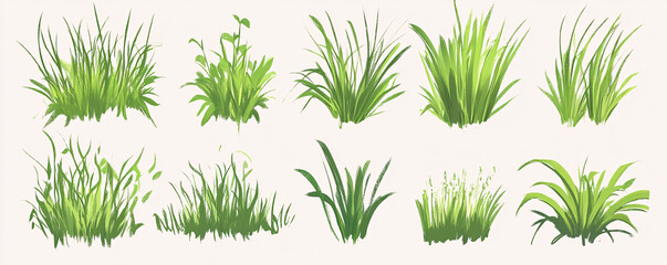 grass