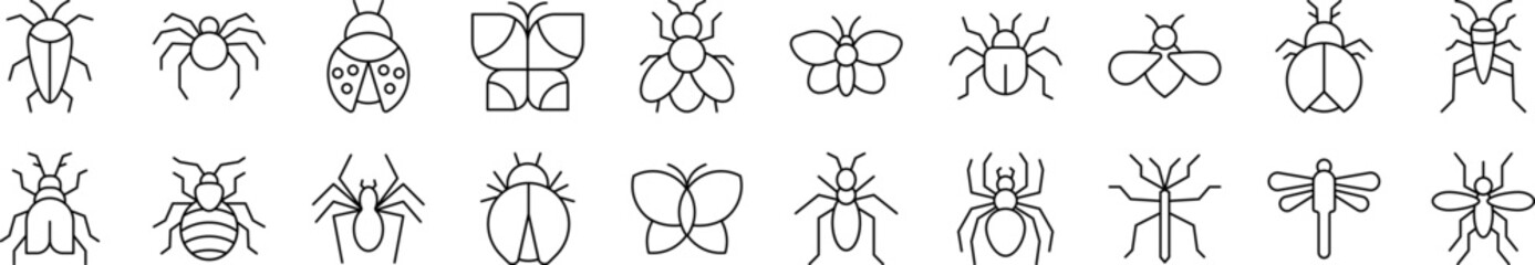 Insect Related Line Icon Collection. Editable Stroke. Perfect for Infographics, Articles, Books, Flyers, Banners