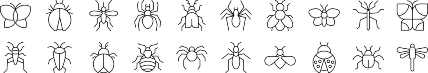 Insect Outline Picture Collection. Editable Stroke. Perfect for Infographics, Articles, Books, Flyers, Banners