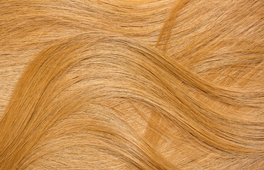 Blond hair close-up as a background. Women's long blonde hair. Beautifully styled wavy shiny curls. Hair coloring. Hairdressing procedures, extension.