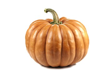 An orange pumpkin with a prominent stem on a white background.